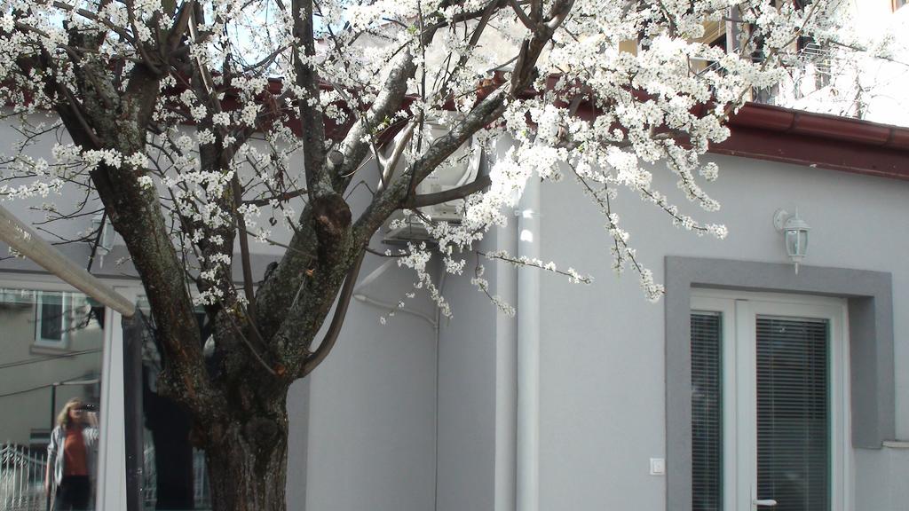 Villa Metulevi Ohrid Exterior foto