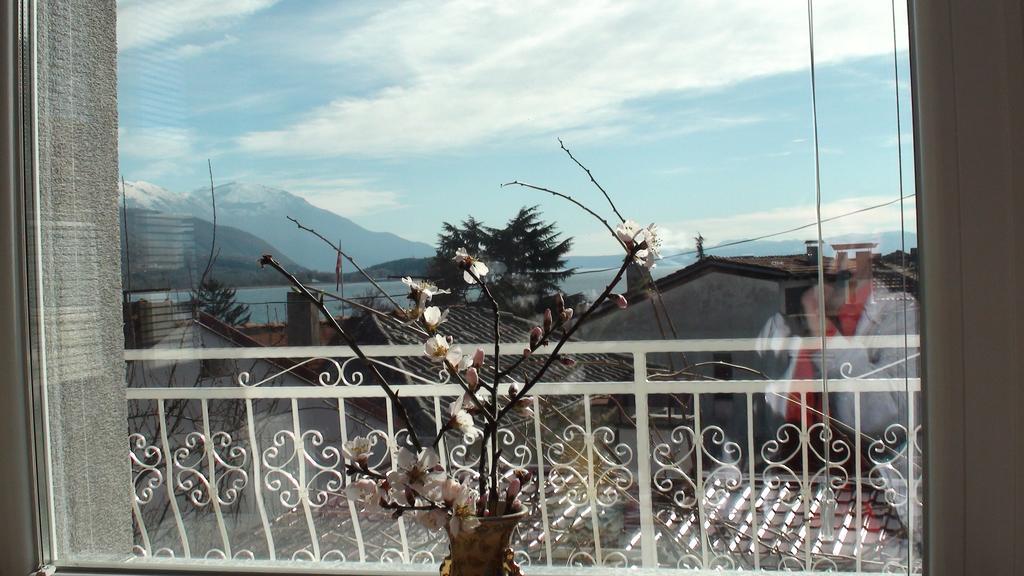 Villa Metulevi Ohrid Exterior foto